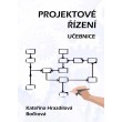 Projektové řízení