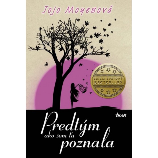Predtým ako som Ťa poznala