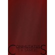 Conmutatus