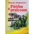 Púšťou a pralesom