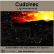 Cudzinec