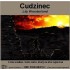 Cudzinec