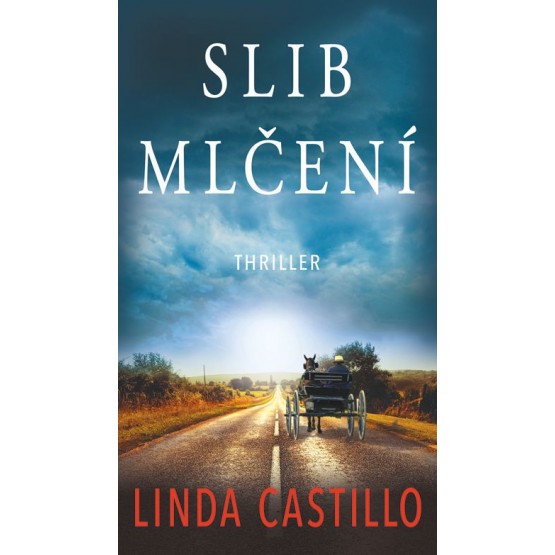 Slib mlčení