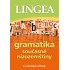 Gramatika současné nizozemštiny