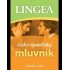 Česko-španělský mluvník