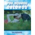 Pod modrou oblohou