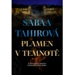 Plamen v temnotě