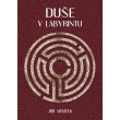 Duše v labyrintu