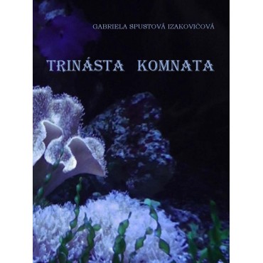 Trinásta komnata