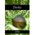 Zbytky