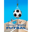 Futbal