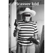 Picassov kód