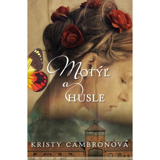 Motýľ a husle