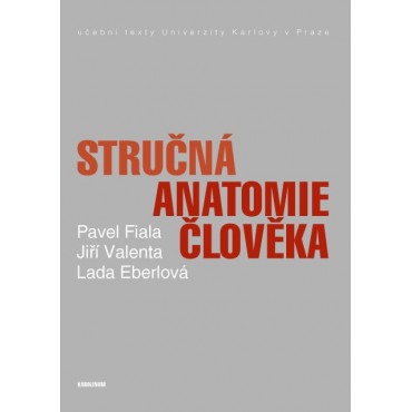 Stručná anatomie člověka