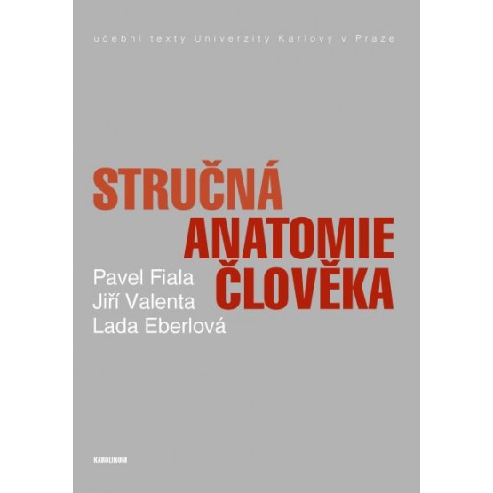 Stručná anatomie člověka