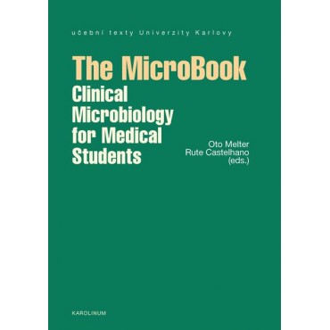 The MicroBook