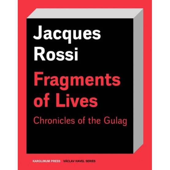 Fragments of Lives