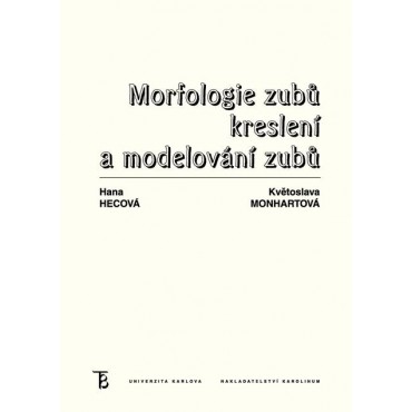Morfologie zubů. Kreslení a modelování zubů