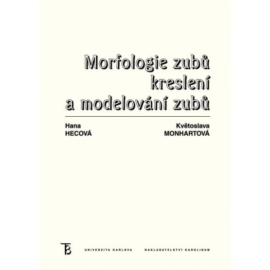 Morfologie zubů. Kreslení a modelování zubů