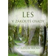 Les v zákoutí osady