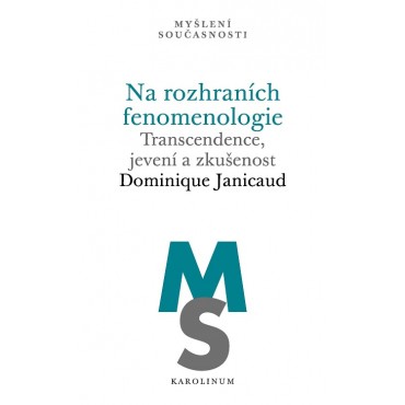 Na rozhraních fenomenologie