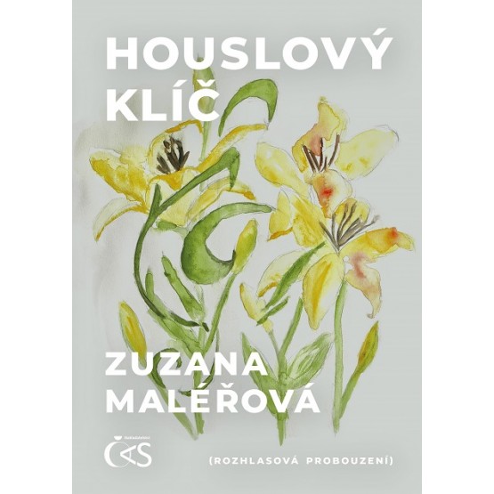 Houslový klíč