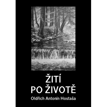 Žití po životě