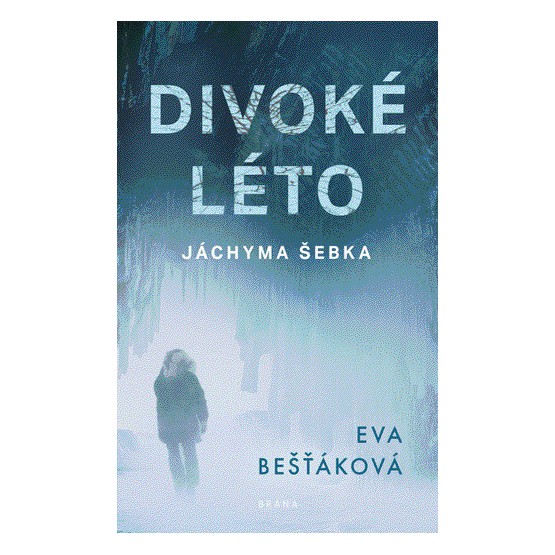 Divoké léto Jáchyma Šebka