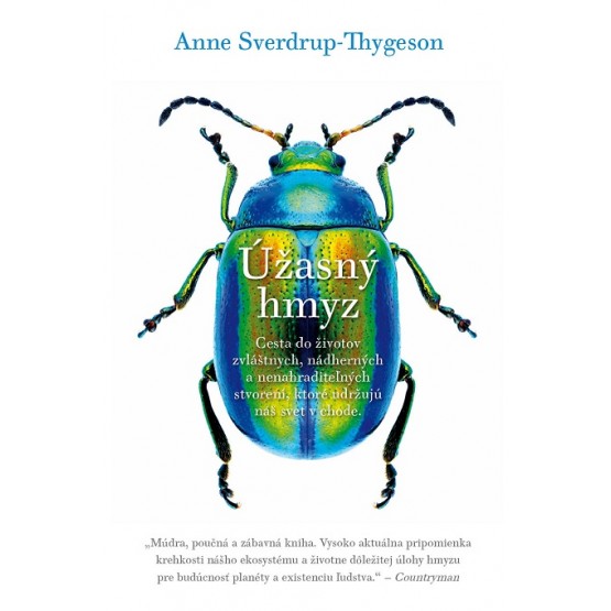 Úžasný hmyz