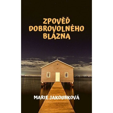 Zpověď dobrovolného blázna