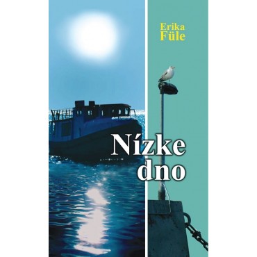 Nízke dno