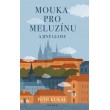 Mouka pro meluzínu a jiné glosy