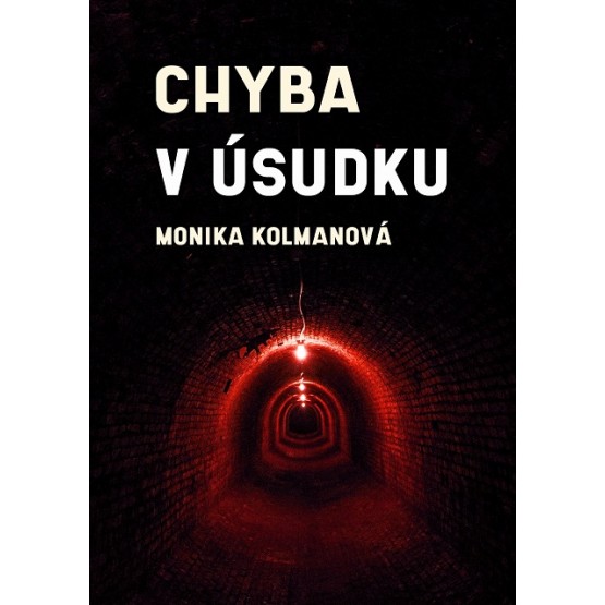 Chyba v úsudku