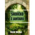 Srdíčko z jantaru