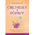 Orchidey a púpavy