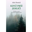 Když prší jehličí