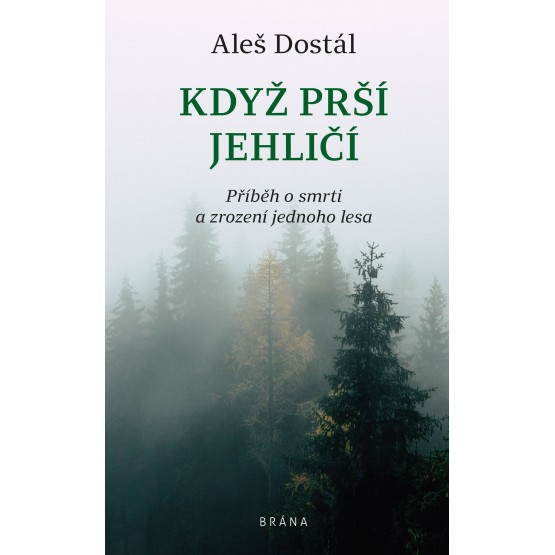 Když prší jehličí