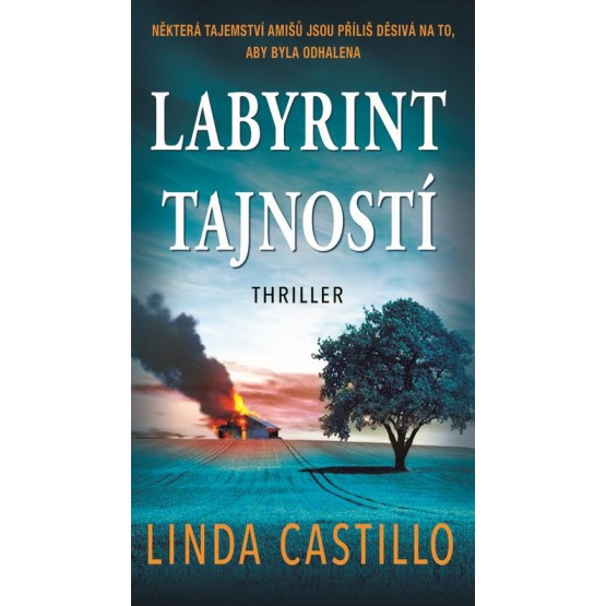 Labyrint tajností