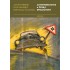Automobilismus a česká společnost