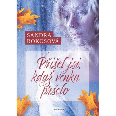 Přišel jsi, když venku pršelo