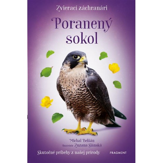 Zvierací záchranári: Poranený sokol