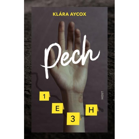 Pech