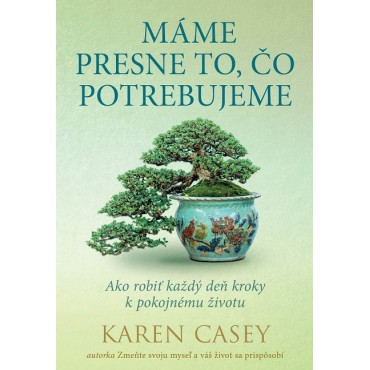 Máme presne to, čo potrebujeme