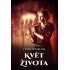Květ života