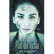 Pád do ticha