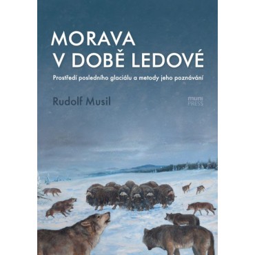 Morava v době ledové