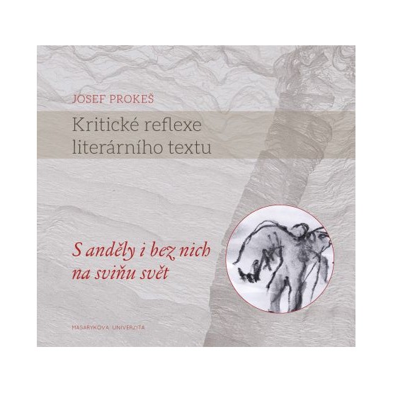 Kritické reflexe literárního textu