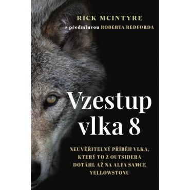 Vzestup vlka 8