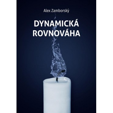 Dynamická rovnováha