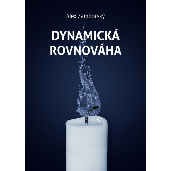 Dynamická rovnováha